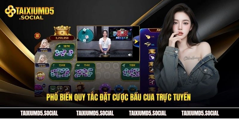 Phổ biến quy tắc đặt cược Bầu cua trực tuyến 