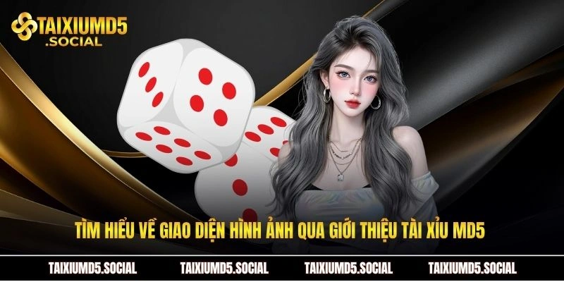 Tìm hiểu về giao diện hình ảnh qua giới thiệu Tài xỉu MD5 