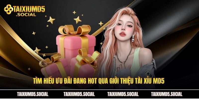 Tìm hiểu ưu đãi đang hot qua giới thiệu Tài xỉu MD5 