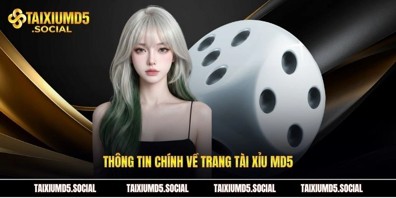 Thông tin chính về trang tài xỉu MD5