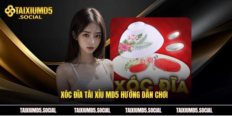 Xóc đĩa Tài xỉu MD5 hướng dẫn chơi  